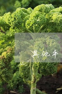其他平台逾期影响信用卡