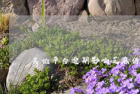 其他平台逾期影响芝麻信用吗 其他平台逾期影响芝麻信用吗