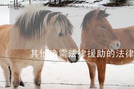 其他确需法律援助的法律事项 其他确需法律援助的法律事项