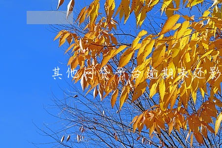 其他网贷平台逾期未还影响 其他网贷平台逾期未还影响