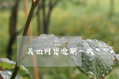 其他网贷逾期一次 其他网贷逾期一次