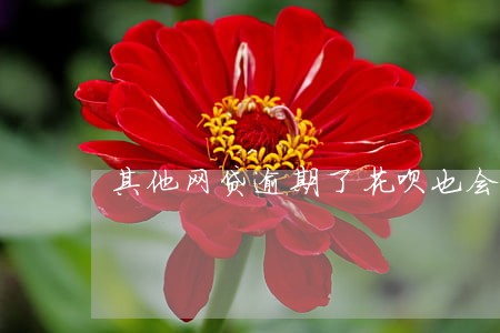 其他网贷逾期了花呗也会关闭吗 其他网贷逾期了花呗也会关闭吗