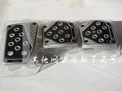 其他网贷逾期了还可以借钱吗