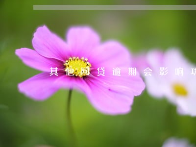 其他网贷逾期会影响功夫贷吗 其他网贷逾期会影响功夫贷吗