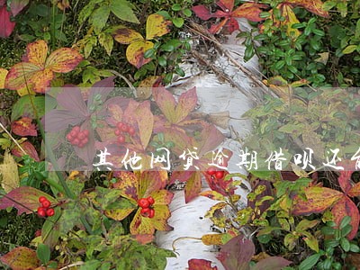 其他网贷逾期借呗还能用吗 其他网贷逾期借呗还能用吗