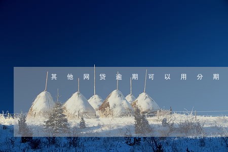 其他网贷逾期可以用分期乐嘛 其他网贷逾期可以用分期乐嘛