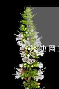 其他网贷逾期对来分期 其他网贷逾期对来分期