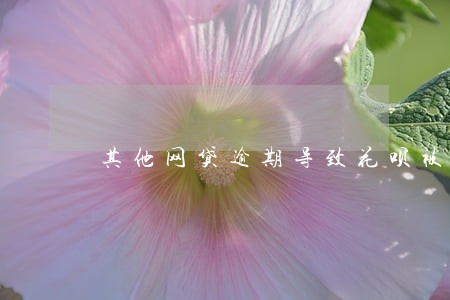 其他网贷逾期导致花呗被关闭 其他网贷逾期导致花呗被关闭
