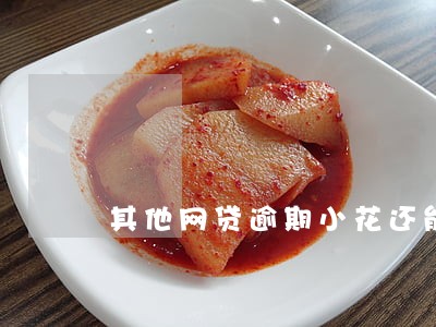其他网贷逾期小花还能下款 其他网贷逾期小花还能下款