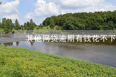 其他网贷逾期有钱花不下 其他网贷逾期有钱花不下