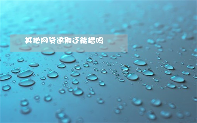 其他网贷逾期还能借吗 其他网贷逾期还能借吗