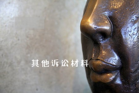 其他诉讼材料 其他诉讼材料