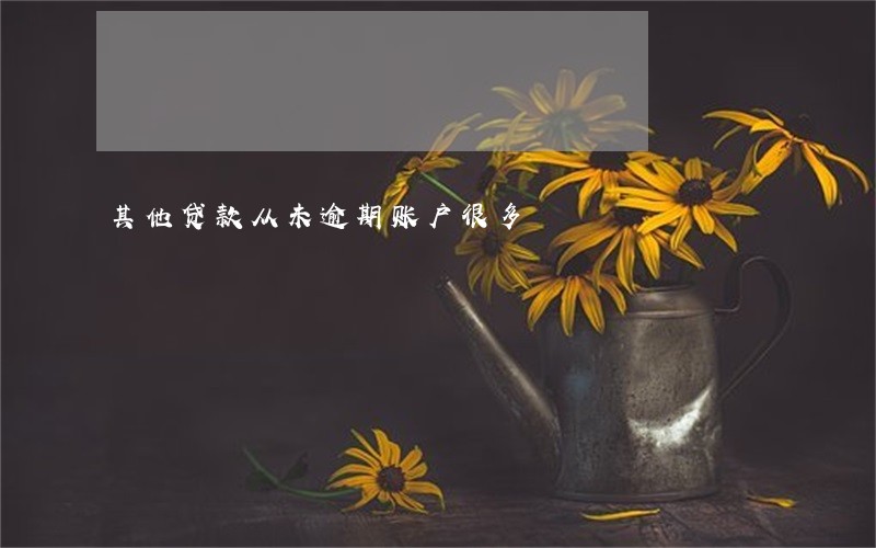 其他贷款从未逾期账户很多 其他贷款从未逾期账户很多