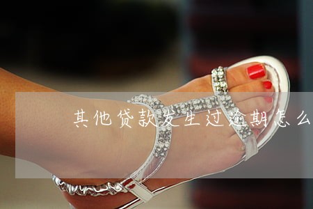 其他贷款发生过逾期怎么办 其他贷款发生过逾期怎么办