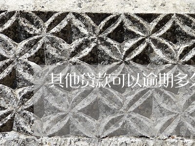 其他贷款可以逾期多久 其他贷款可以逾期多久