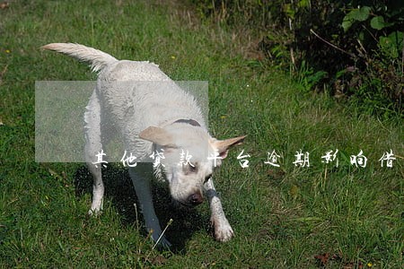 其他贷款平台逾期影响借呗吗 其他贷款平台逾期影响借呗吗