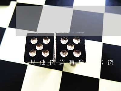 其他贷款有逾期房贷 其他贷款有逾期房贷
