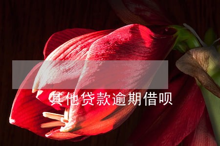 其他贷款逾期借呗 其他贷款逾期借呗