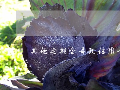其他逾期会导致信用卡冻结吗 其他逾期会导致信用卡冻结吗