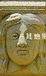 其他银行有逾期还可以续贷吗 其他银行有逾期还可以续贷吗