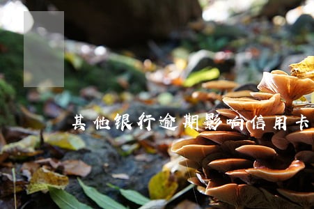 其他银行逾期影响信用卡吗 其他银行逾期影响信用卡吗