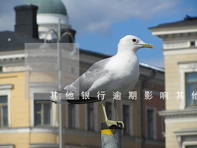 其他银行逾期影响其他银行提额吗 其他银行逾期影响其他银行提额吗