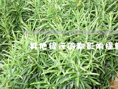 其他银行逾期影响提额吗 其他银行逾期影响提额吗