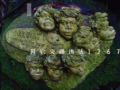 其它交通违法1267起