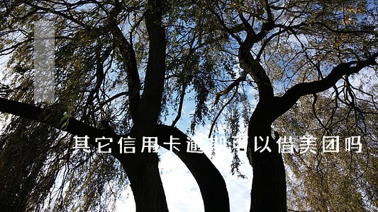 其它信用卡逾期可以借美团吗 其它信用卡逾期可以借美团吗