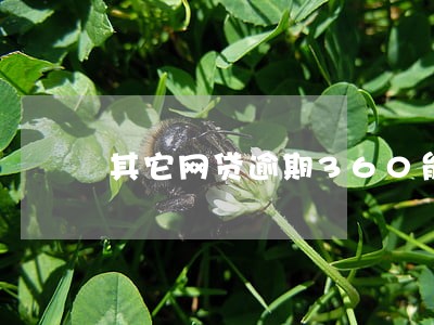 其它网贷逾期360能借吗 其它网贷逾期360能借吗