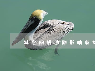 其它网贷逾期影响支付宝吗 其它网贷逾期影响支付宝吗