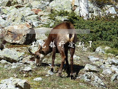 其它银行逾期了 其它银行逾期了