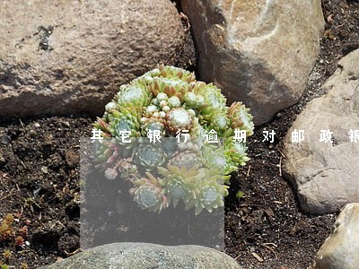 其它银行逾期对邮政银行有影响吗 其它银行逾期对邮政银行有影响吗