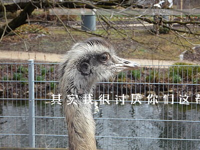 其实我很讨厌你们这帮法律人 其实我很讨厌你们这帮法律人