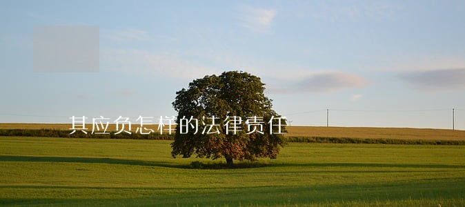 其应负怎样的法律责任 其应负怎样的法律责任