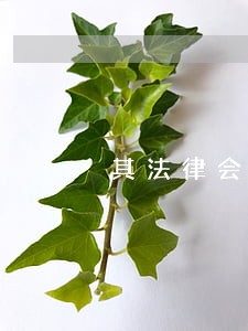 其法律会被承认吗 其法律会被承认吗