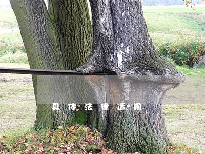 具体法律适用 具体法律适用