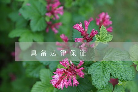 具备法律保证 具备法律保证