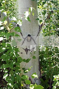 具有法律效力的相关借条模板 具有法律效力的相关借条模板