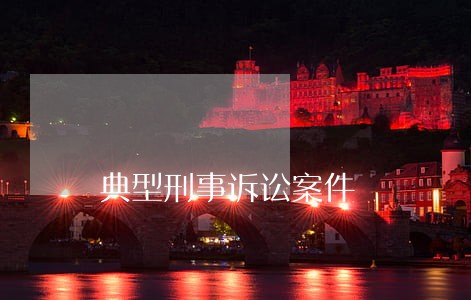 典型刑事诉讼案件 典型刑事诉讼案件