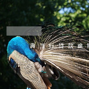 典当行贷款逾期罚息计算 典当行贷款逾期罚息计算