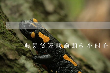 典易贷还款逾期6小时咋办 典易贷还款逾期6小时咋办