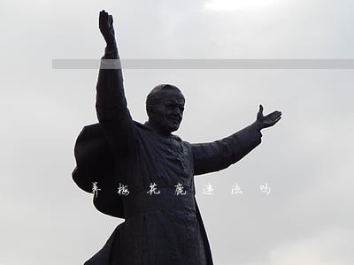养梅花鹿违法吗 养梅花鹿违法吗