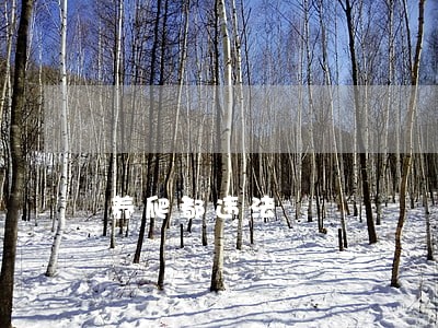 养爬都违法 养爬都违法
