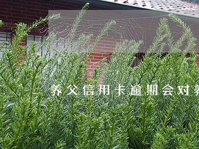 养父信用卡逾期会对养子有影响吗 养父信用卡逾期会对养子有影响吗