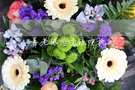 养老保险受法院执行 养老保险受法院执行