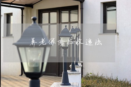 养老保险征收违法 养老保险征收违法