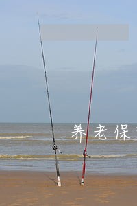 养老保险法律意见书