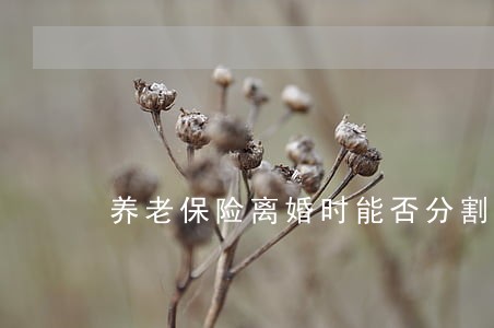 养老保险离婚时能否分割 养老保险离婚时能否分割