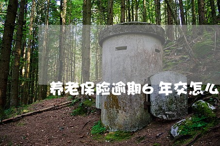 养老保险逾期6年交怎么办 养老保险逾期6年交怎么办